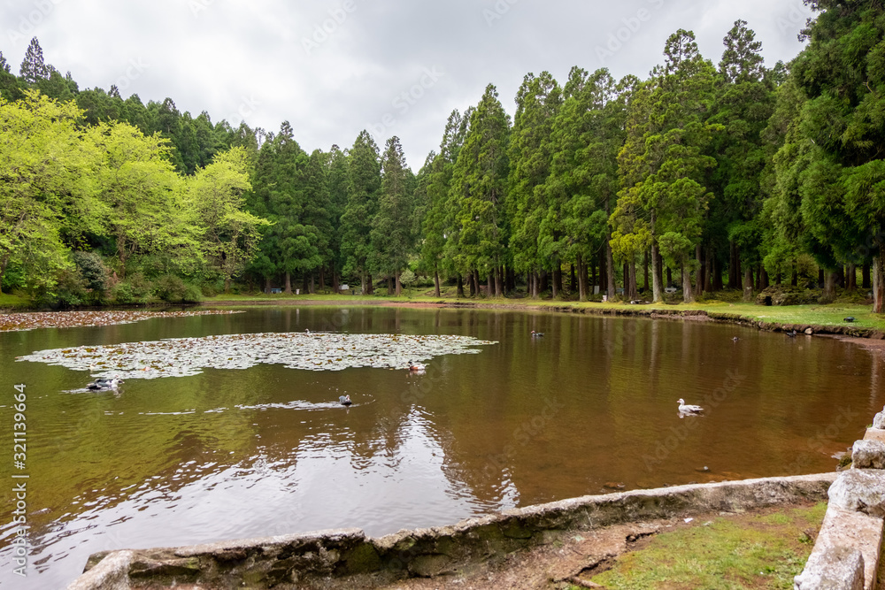 Nature in Lagoa das Patas lake in Terceira island, Azores, Portugal
