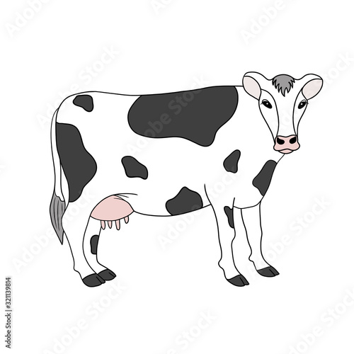 Black and white standing cow. Cartoon hand drawn illustration. Dairy farm animal, element isolated on white background. Series of farm animals.