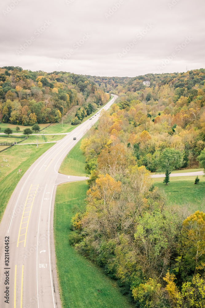 Above View of Road Traveling into the Distance with Autumn Foliage Alongside