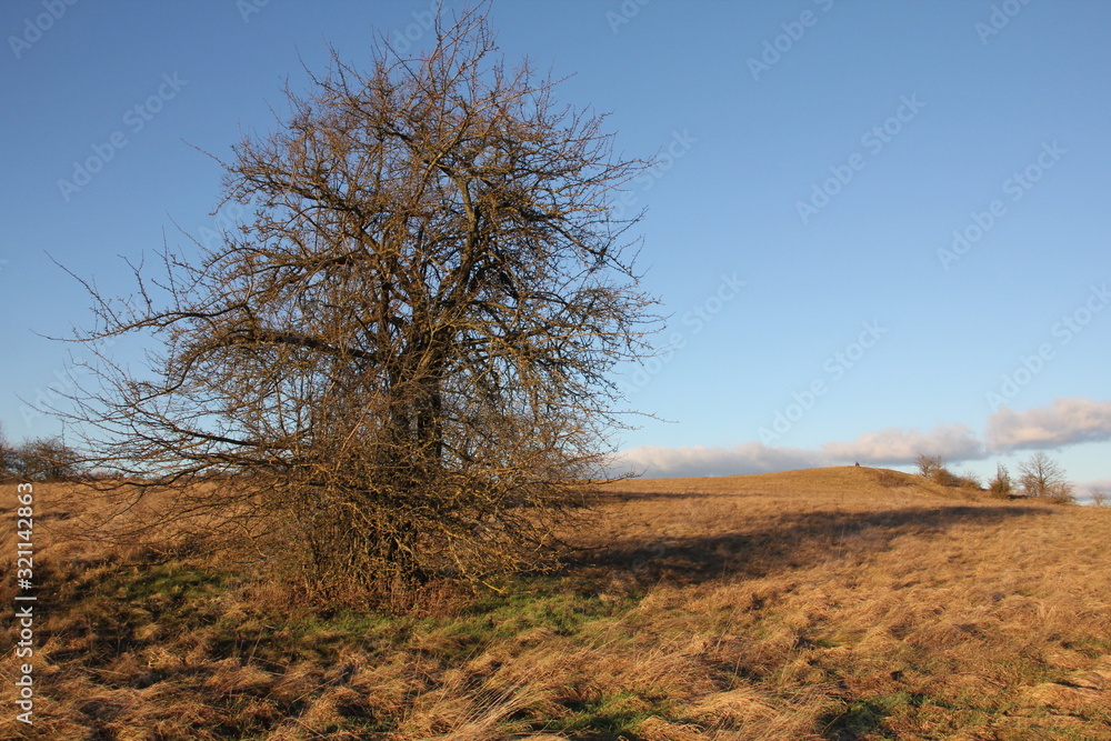 landschaft