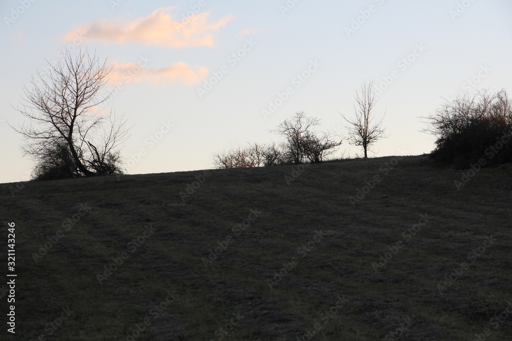 Fototapeta premium landschaft