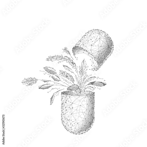 Herbal medicine low poly wireframe vector illustration. Polygonal capsule with plant leaves isolated on white background. Medical pill 3d mesh art with connected dots. Healthcare industry symbol