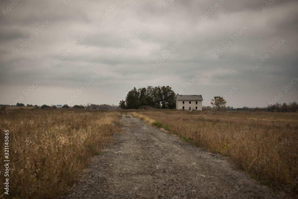 Fototapeta premium Abandoned house in dry field