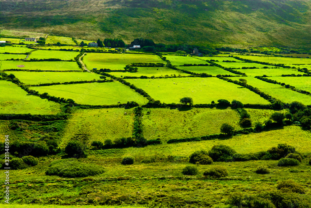 Obraz premium Rural Landscape With Pastures In Ireland