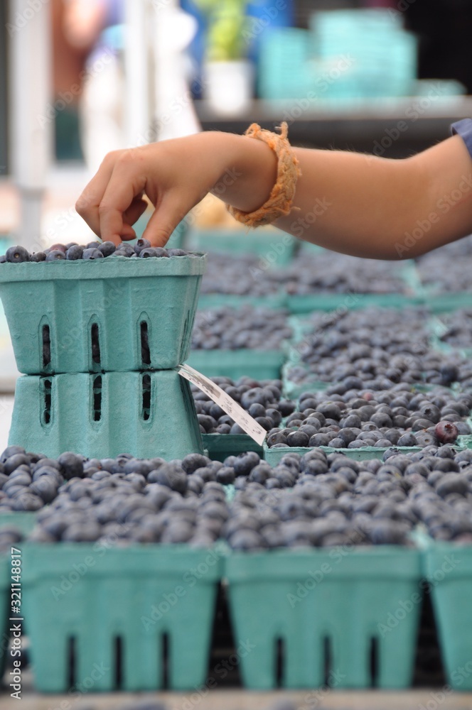 Blueberry Grab from Pints at Outdoor Farmer's Market