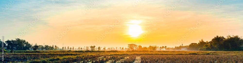 The beautiful panorama landscape of the tree in the rice fields, The sun's rays through at the top of the trees and the moving fog, Chiang Rai Northern  Thailand.