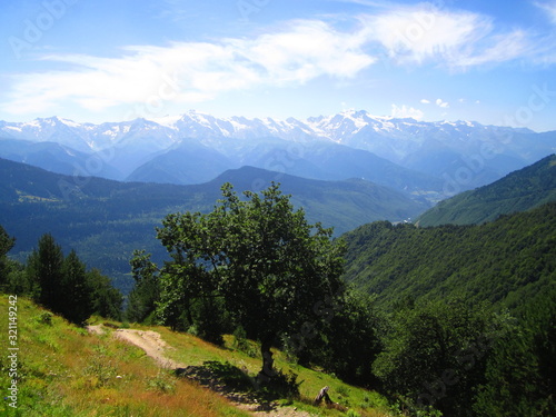 Mountain landscape of Svaneti on bright summer sunny day. Mountain lake  hills covered green grass on snowy rocky mountains background. Caucasus peaks in Georgia. Amazing view on wild georgian nature