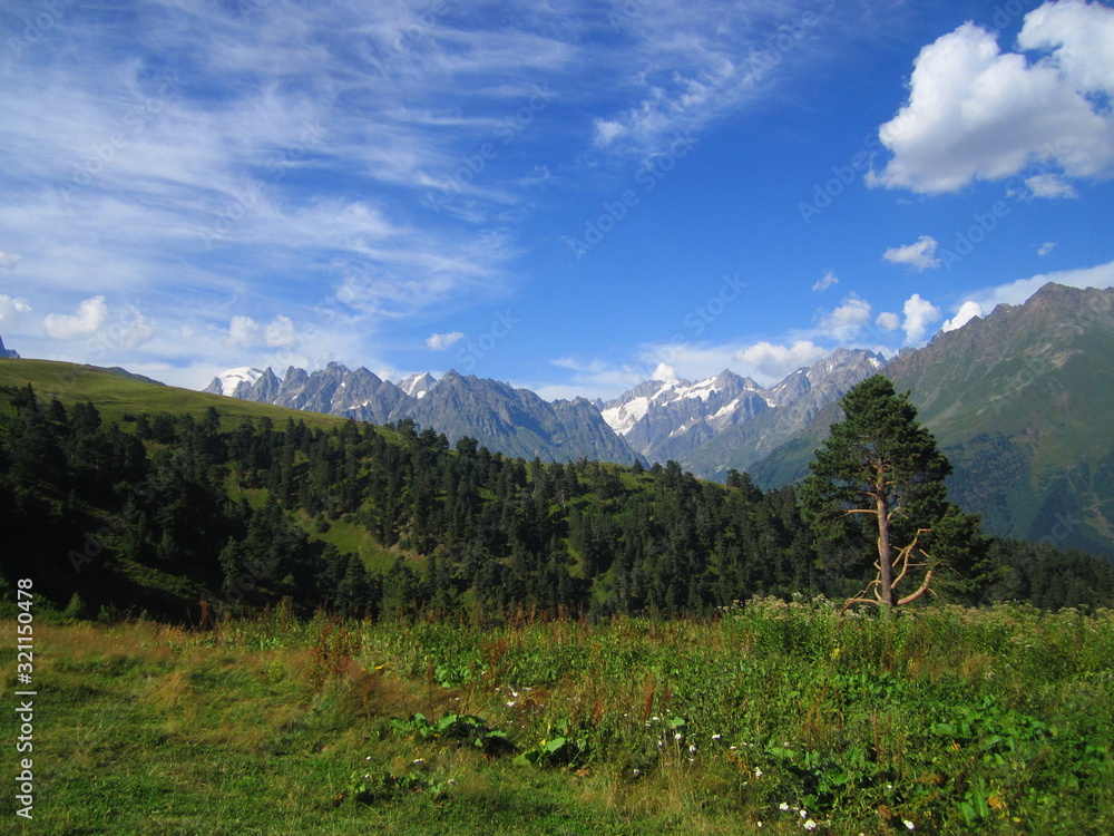 Fototapeta premium Mountain landscape of Svaneti on bright summer sunny day. Mountain lake, hills covered green grass on snowy rocky mountains background. Caucasus peaks in Georgia. Amazing view on wild georgian nature
