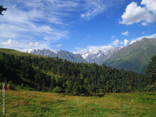 Mountain landscape of Svaneti on bright summer sunny day. Mountain lake, hills covered green grass on snowy rocky mountains background. Caucasus peaks in Georgia. Amazing view on wild georgian nature © nika