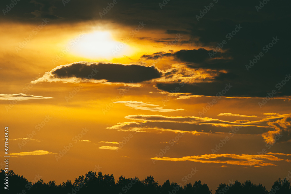 Evening sunset sky with bright rays of the sun and beautiful colorful clouds over the tops of the pine forest Evening sunset sky with bright rays of the sun and beautiful colorful clouds over the tops of the pine forest