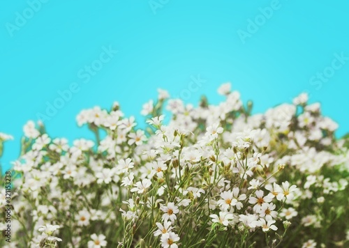 Spring. © BillionPhotos.com