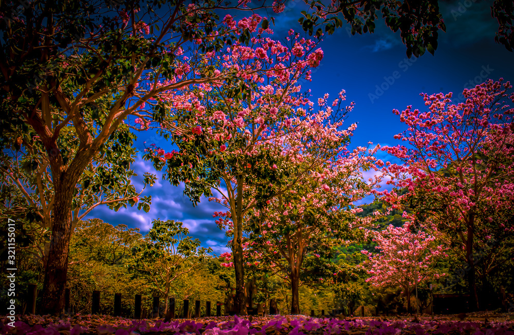 Naklejka premium autumn in the park