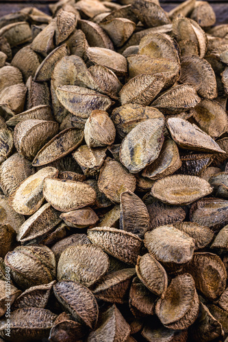 Brazil nuts, Amazon nuts, acre nuts, Brazil nuts, Amazon nuts, Bolivian nuts, Toquei or Tururi, very abundant in northern Brazil and Bolivia. Chestnut in shell. photo