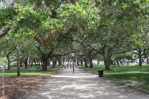 Charletson Walks