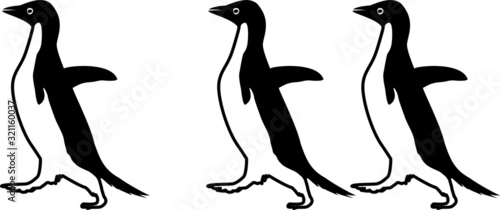 vector illustration of walking penguins