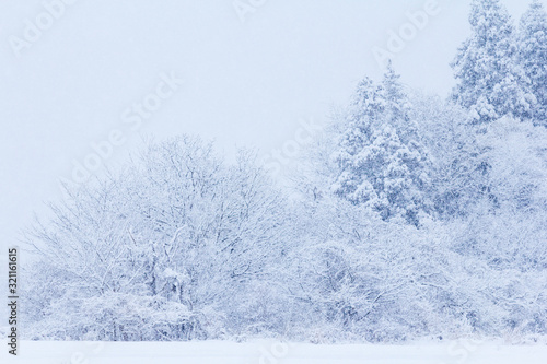 山に降る雪 冬イメージ 秋田県の自然風景 山と森林