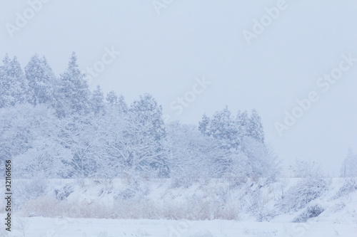 山に降る雪　冬イメージ　秋田県の自然風景　山と森林 © amosfal