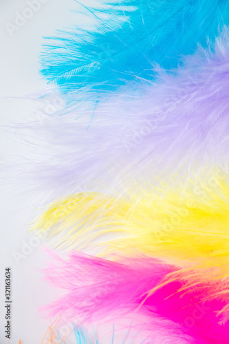 Multi-colored light feathers on a white background.
