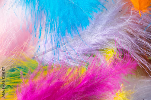 Many light multi-colored feathers for a carnival costume. Background for design.