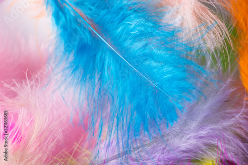 Many light multi-colored feathers for a carnival costume.