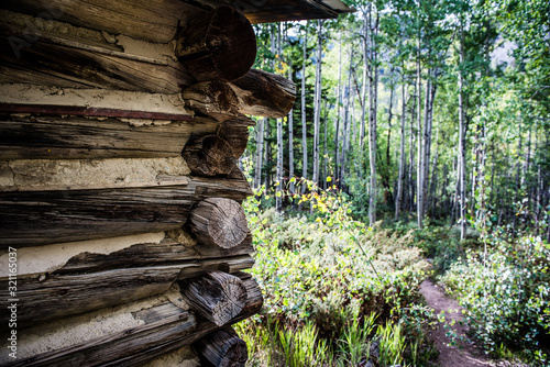 Obraz na płótnie log cabin in aspen forest
