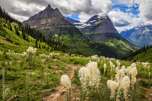 Mountains and Wildflowers of Glacier National Park on the Going-to-the-Sun Road photo