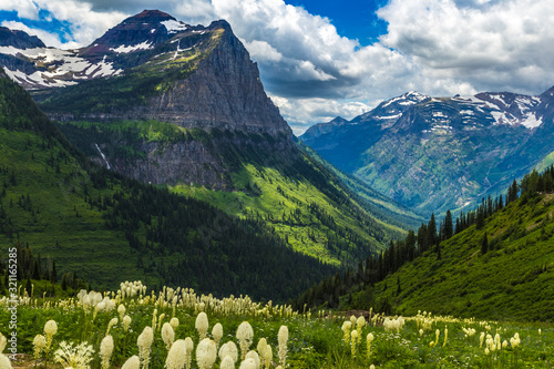 Mountains and Wildflowers of Glacier National Park on the Going-to-the-Sun Road photo