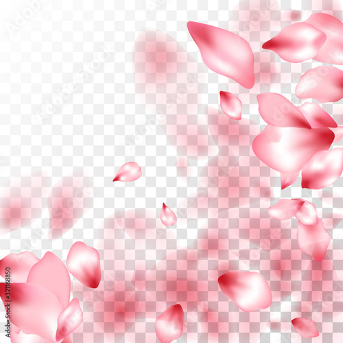 Pink sakura petals falling vector graphics.