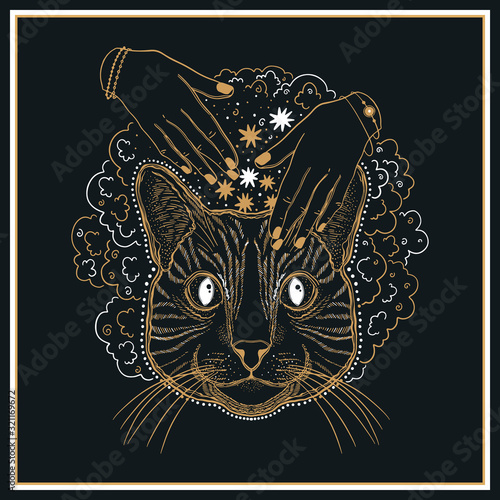 Mystic magic cat. Portrait face head hand drawn vintage style.Line art ink painting.Graphic design tatoo.