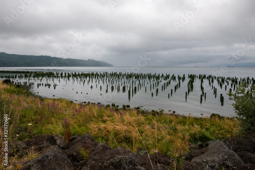 Pilings on the Columbia River waterfront.