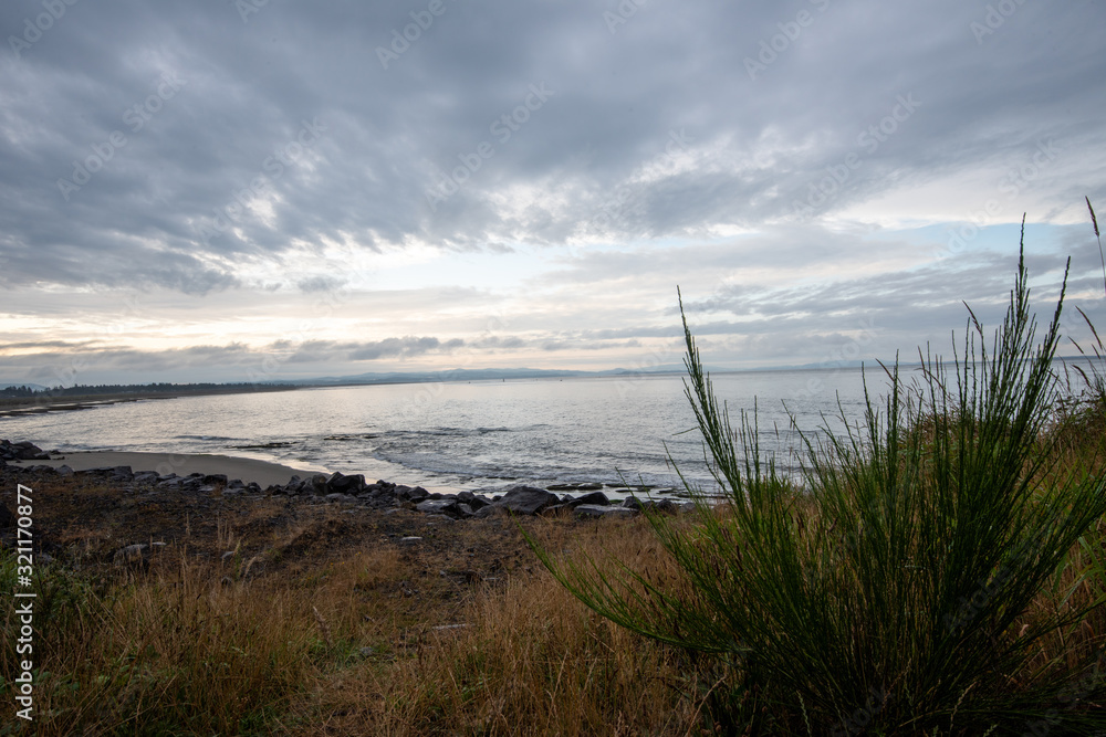 Deserted Pacific Ocean Coastline with Seagrass Deserted Pacific Ocean Coastline with Seagrass