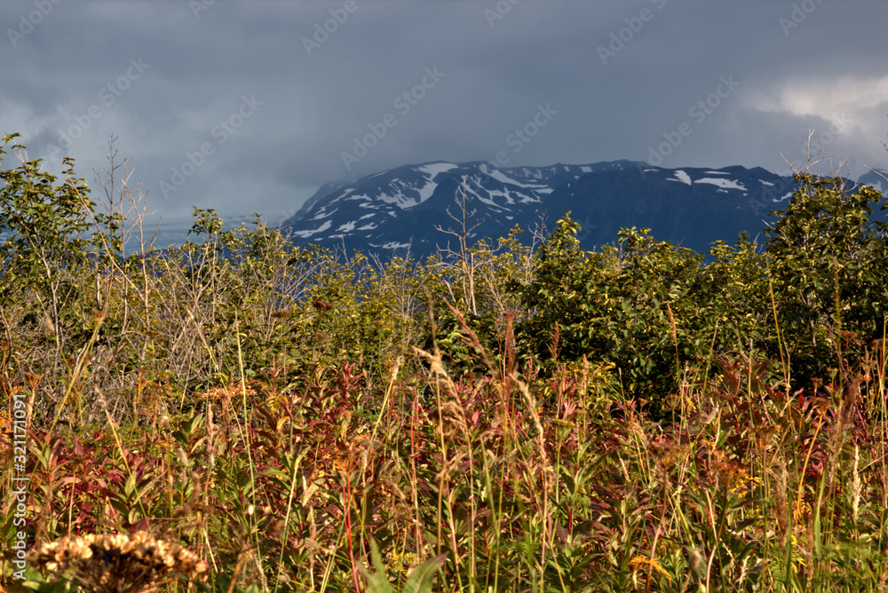 Fototapeta premium Alaska meadows and mountains