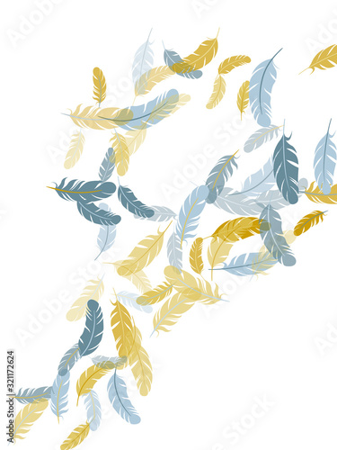 Detailed majestic feather on white design.