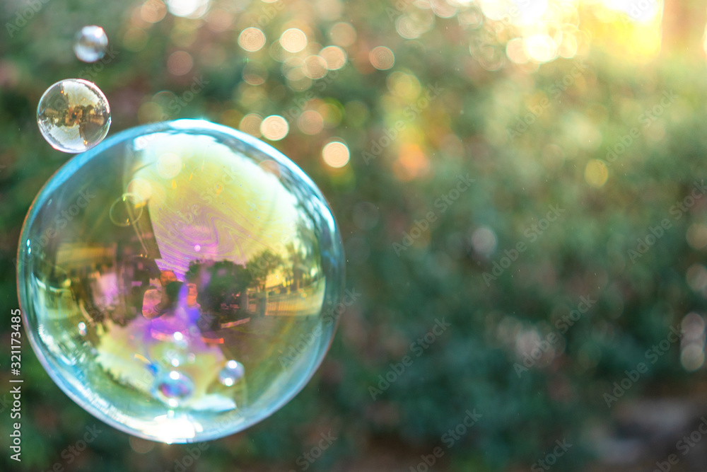 Floating soap bubbles against Syzygium australe tree background. Floating soap bubbles against Syzygium australe tree background.