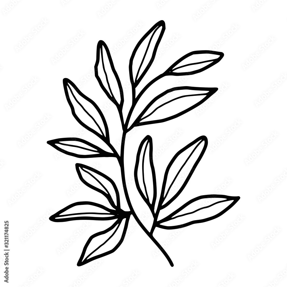 Hand drawn monochrome plant, leaf, and foliage element for wedding invitation, logo, engagement, or botanical logo