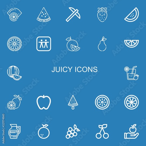Editable 22 juicy icons for web and mobile