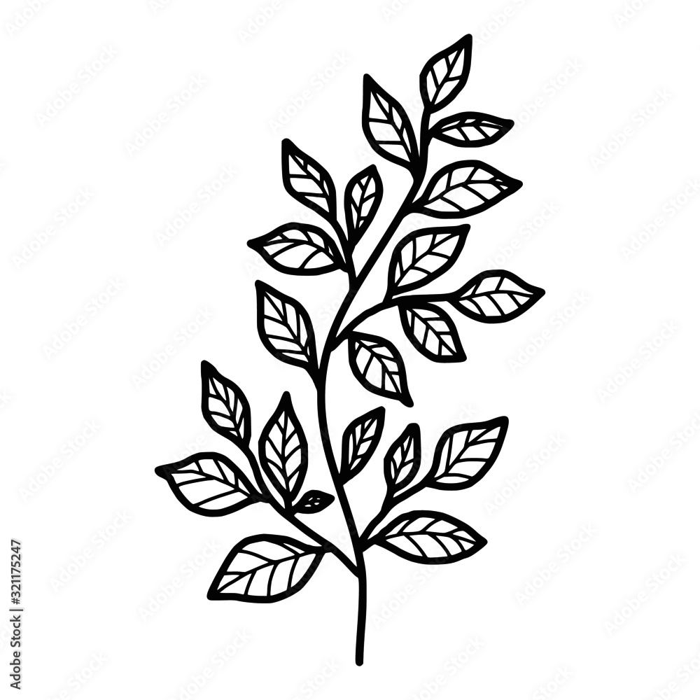 Hand drawn black and white botanical leaf, foliage, and branch element for frame, decoration, clip art, wedding and engagement invitation, or anniversary Hand drawn black and white botanical leaf, foliage, and branch element for frame, decoration, clip art, wedding and engagement invitation, or anniversary