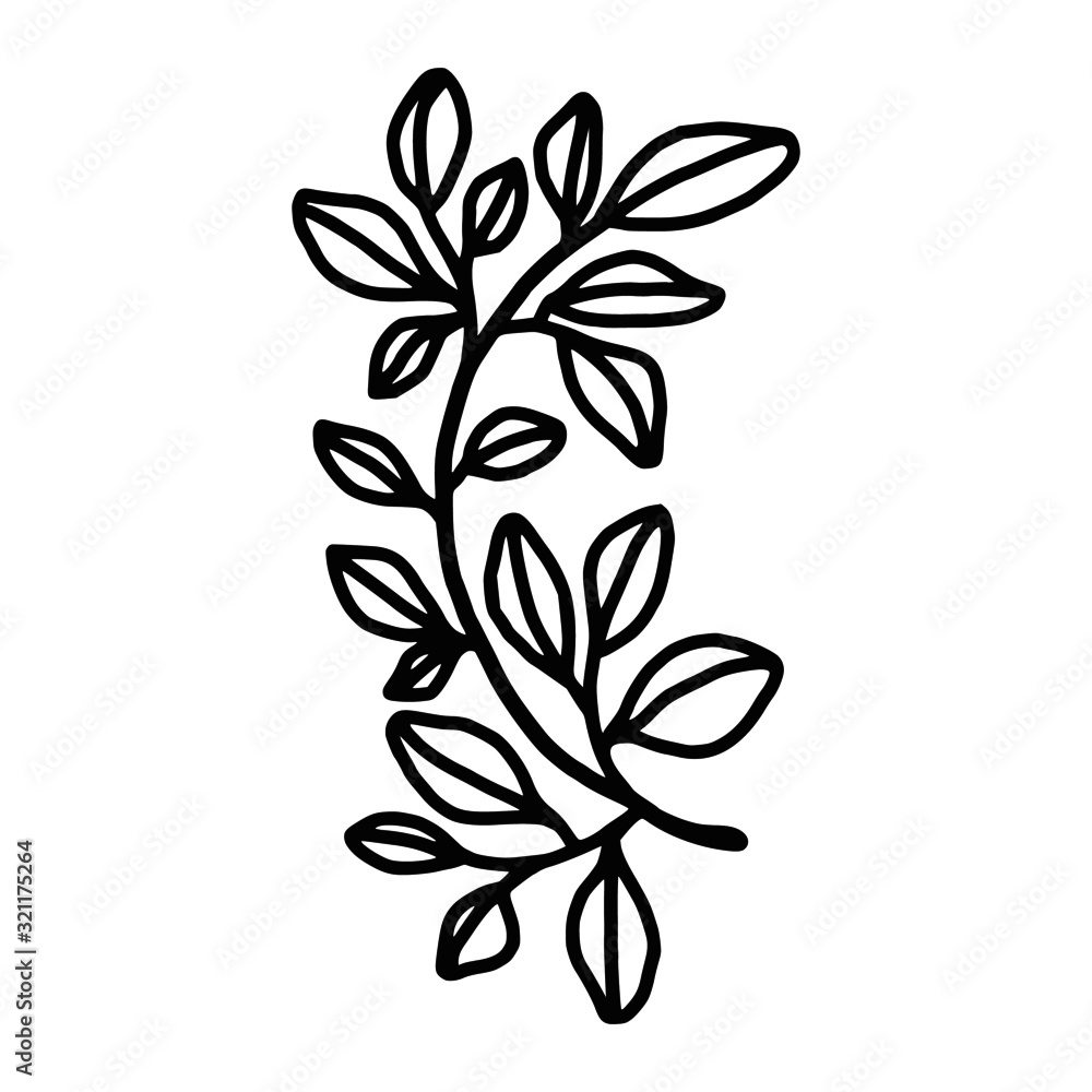Hand drawn black and white botanical leaf, foliage, and branch element for frame, decoration, clip art, wedding and engagement invitation, or anniversary Hand drawn black and white botanical leaf, foliage, and branch element for frame, decoration, clip art, wedding and engagement invitation, or anniversary