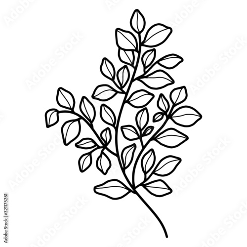 Hand drawn black and white botanical  leaf  foliage  and branch element for frame  decoration  clip art  wedding and engagement invitation  or anniversary