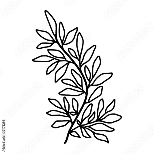 Hand drawn black and white botanical leaf, foliage, and branch element for frame, decoration, clip art, wedding and engagement invitation, or anniversary