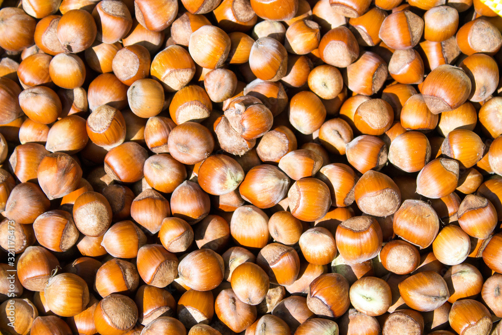 hazelnuts are scattered on the table. Background for design