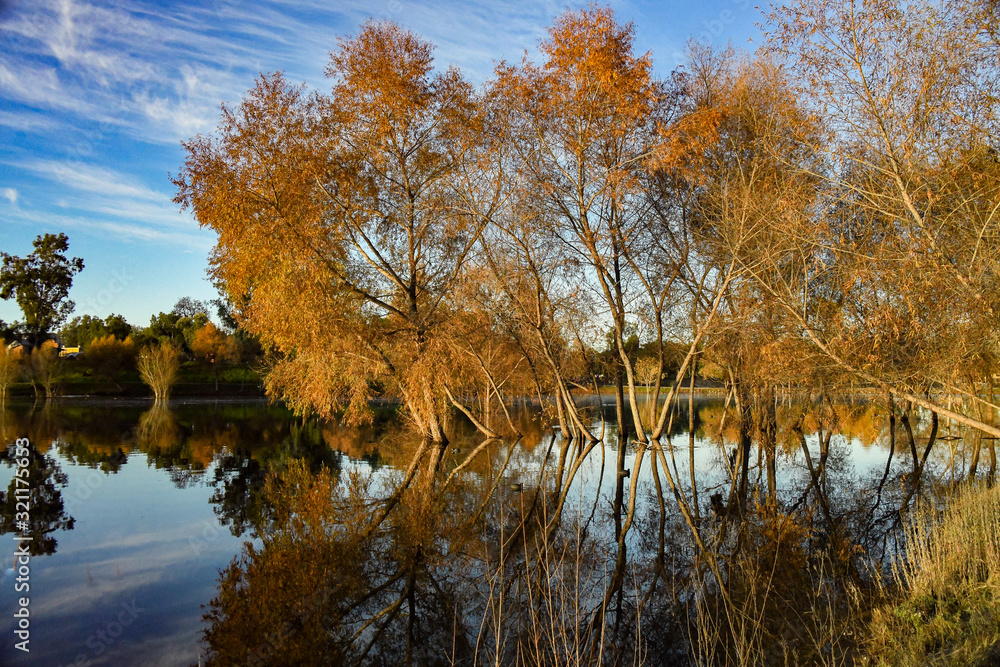 Obraz premium Brilliant Winter Scene at Lindo Lake