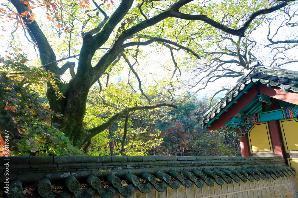 Fototapeta premium 한국 전통 건축물이 보이는 아름다운 가을 풍경