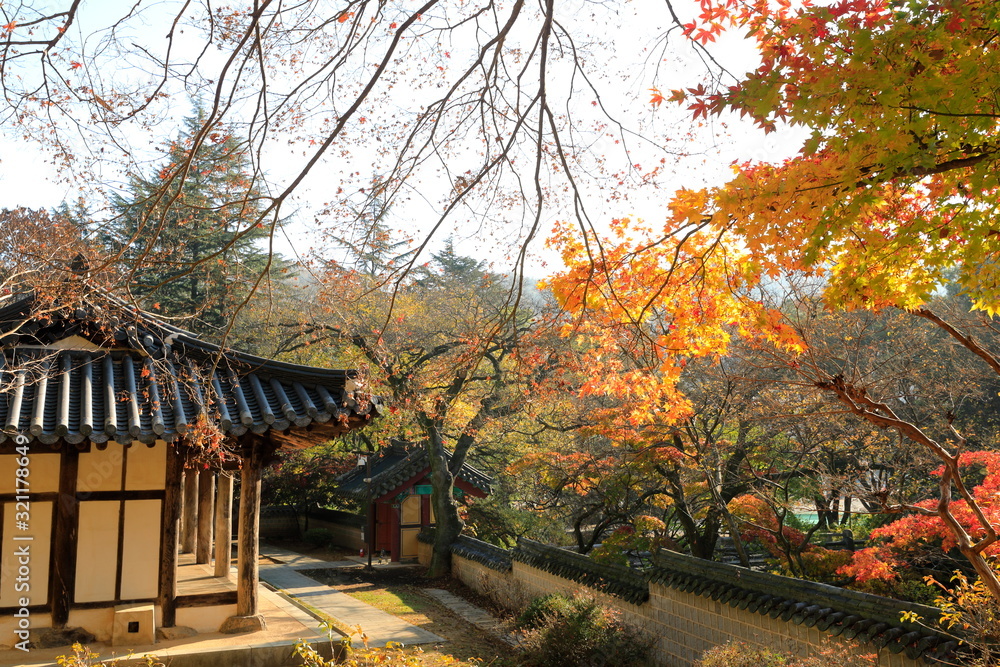 한국 전통 건축물이 보이는 아름다운 가을 풍경 Stock Photo | Adobe Stock