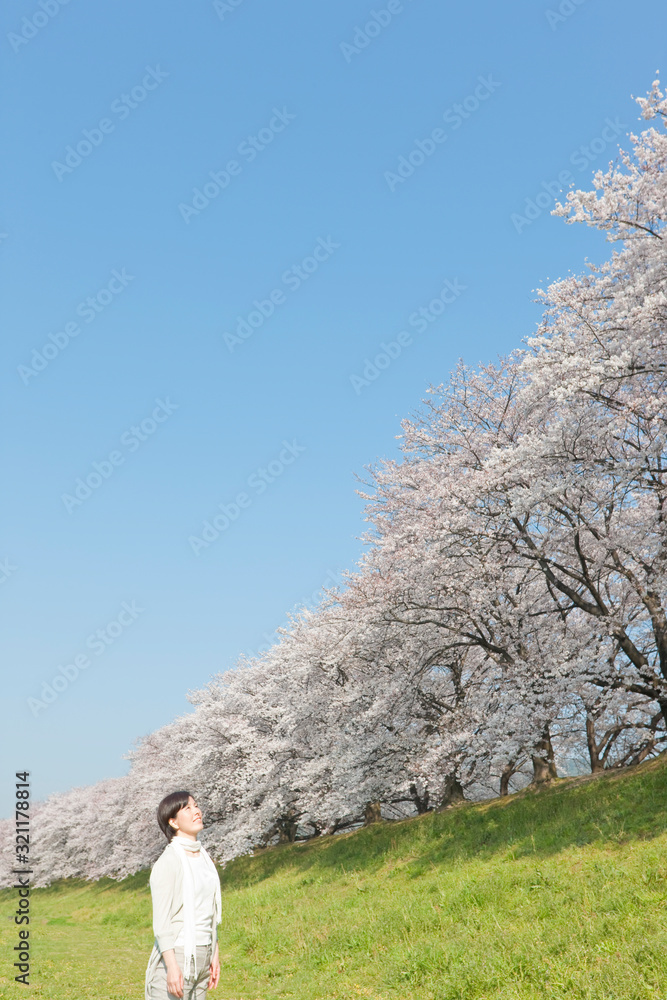 桜 女性 桜 女性