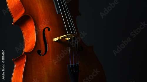 Fotografie Cello closeup on dark gray background banner