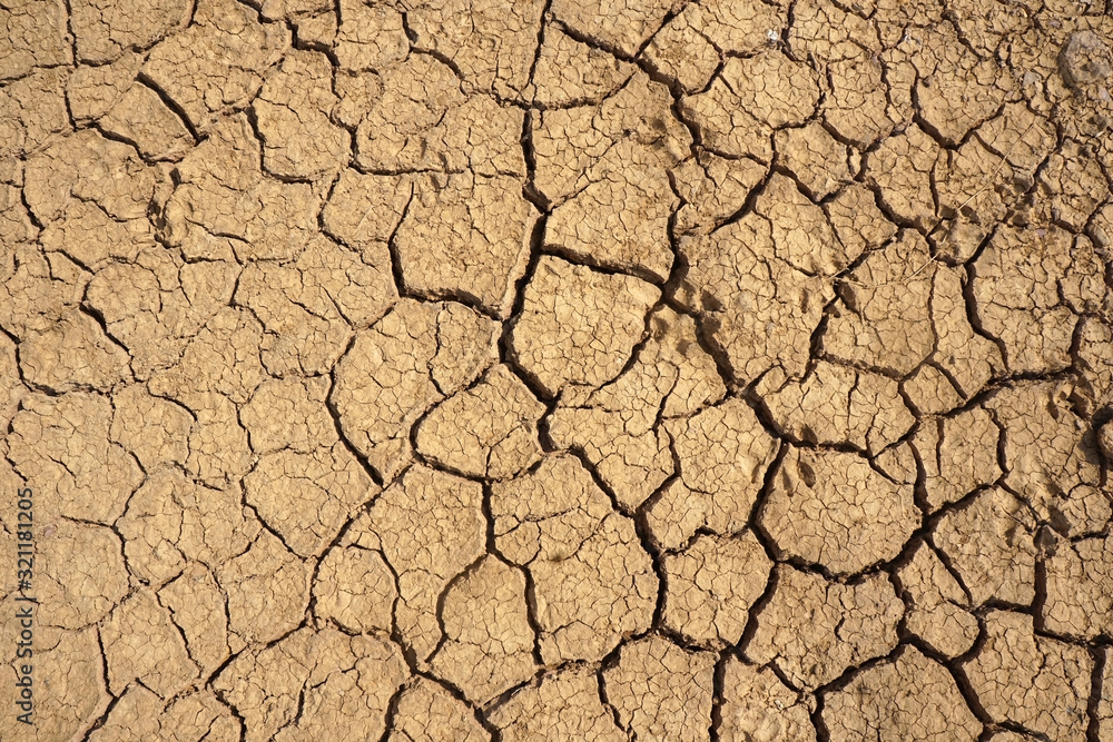 Texture of Soil cracks. Dried cracked earth soil ground background. Texture of Soil cracks. Dried cracked earth soil ground background.