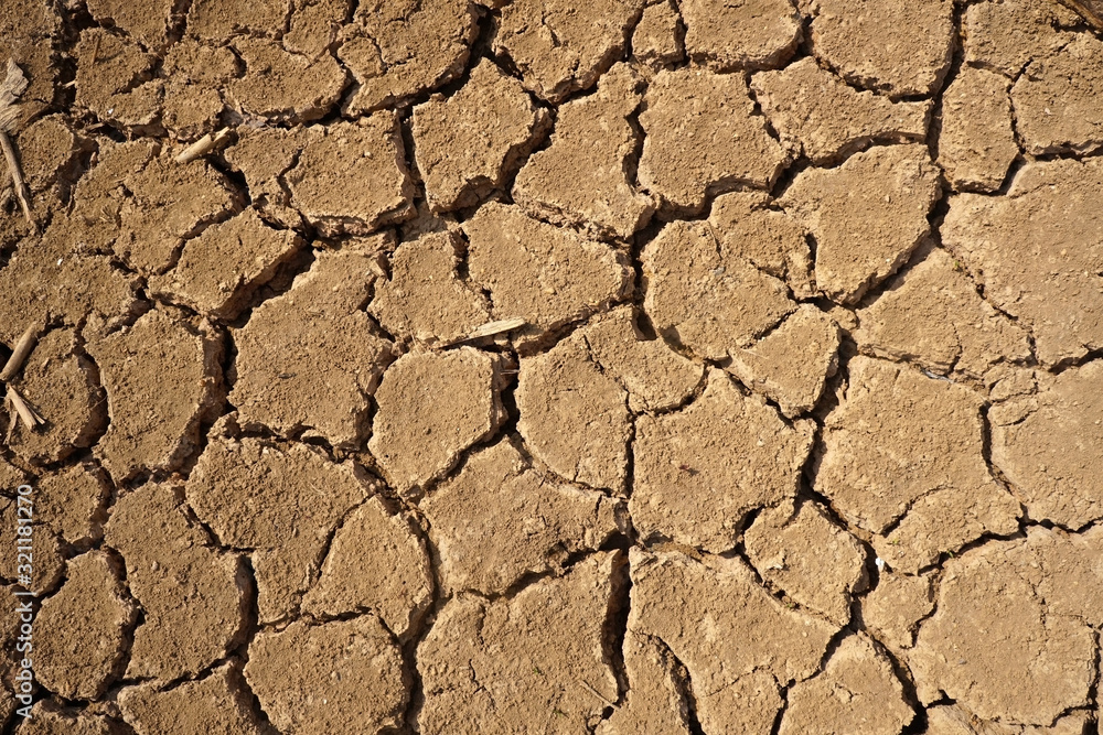Texture of Soil cracks. Dried cracked earth soil ground background. Texture of Soil cracks. Dried cracked earth soil ground background.