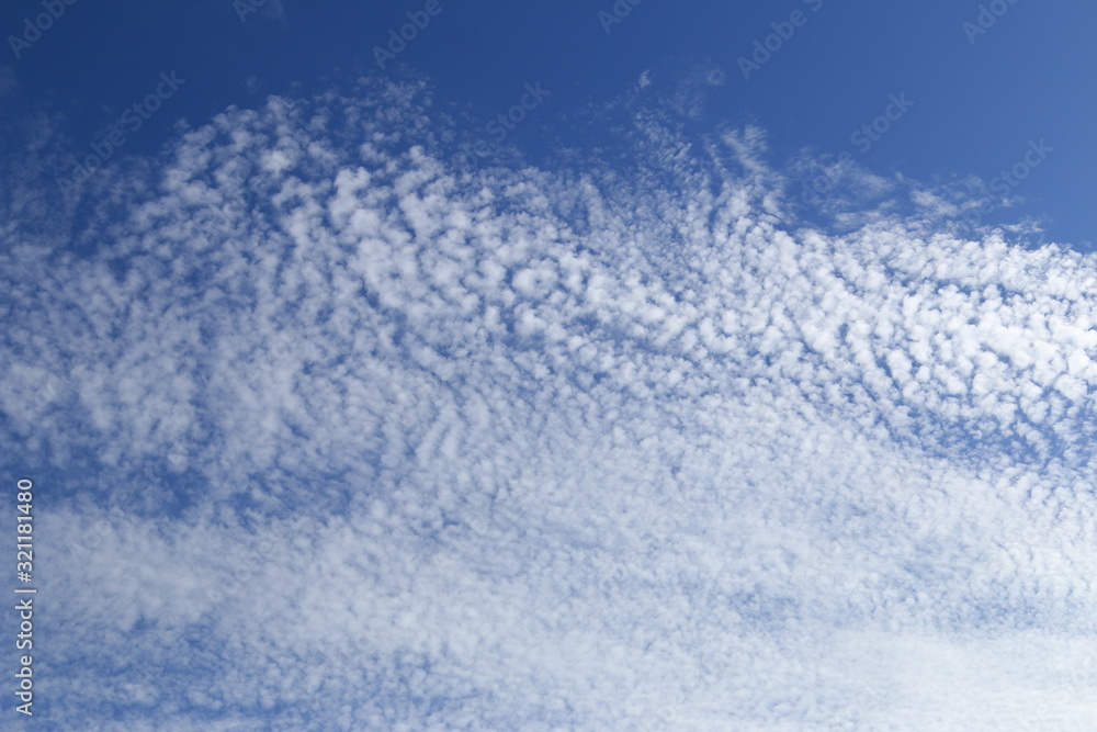 Obraz premium 雲 夏雲 積乱雲 入道雲 空 青空 夏空