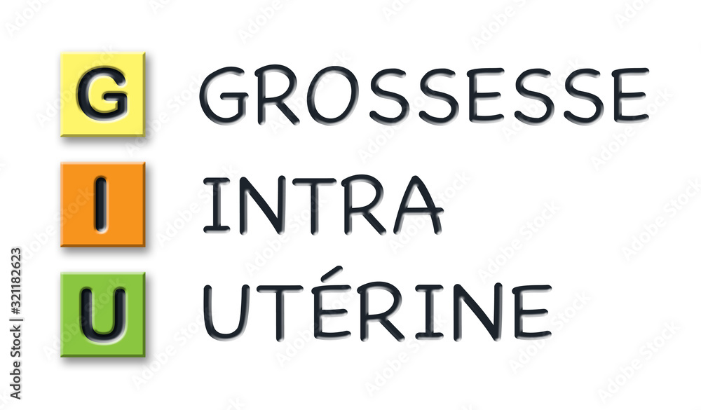 GIU initials in colored 3d cubes with meaning in french language GIU initials in colored 3d cubes with meaning in french language